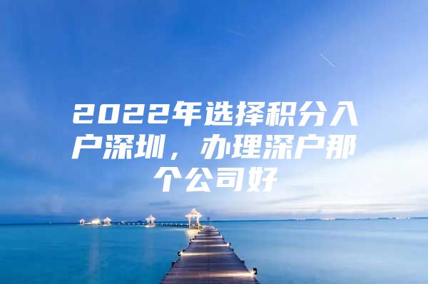 2022年选择积分入户深圳，办理深户那个公司好