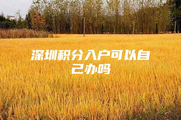 深圳积分入户可以自己办吗