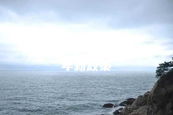 龙华积分入户2020年新政策