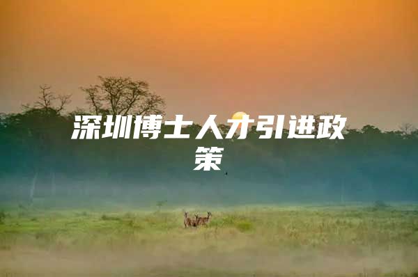 深圳博士人才引进政策