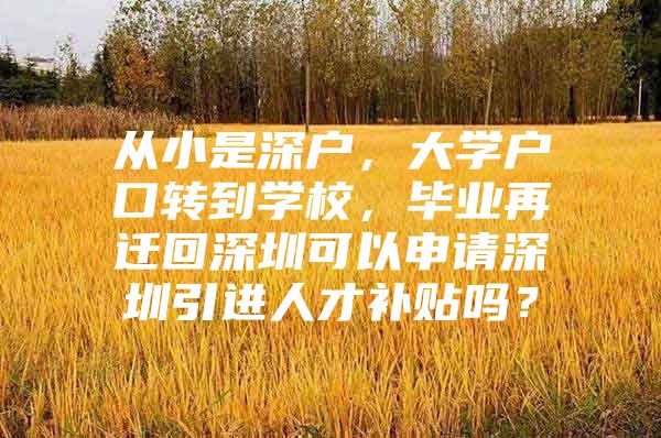 从小是深户，大学户口转到学校，毕业再迁回深圳可以申请深圳引进人才补贴吗？