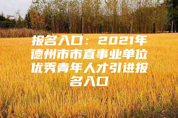 报名入口：2021年德州市市直事业单位优秀青年人才引进报名入口