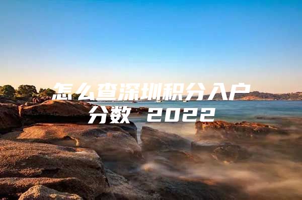 怎么查深圳积分入户分数 2022