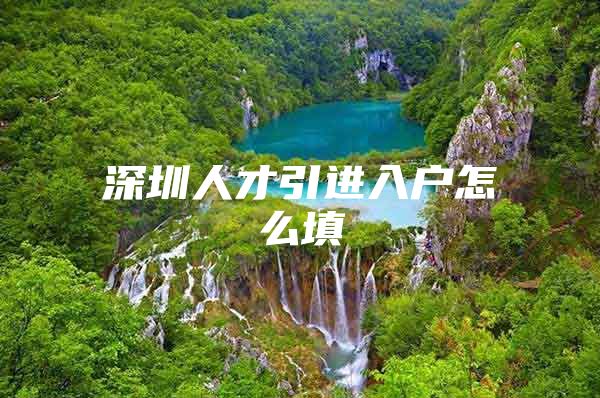 深圳人才引进入户怎么填