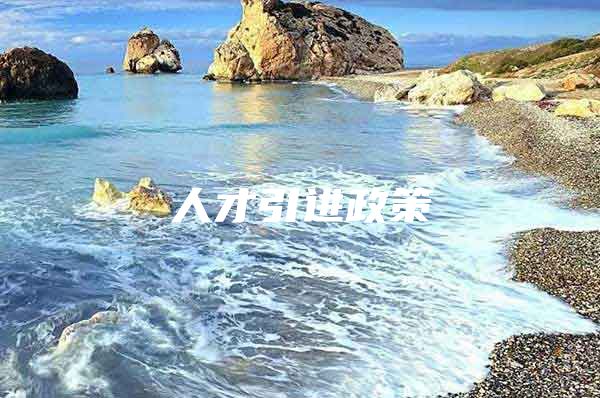 人才引进政策