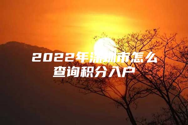 2022年深圳市怎么查询积分入户