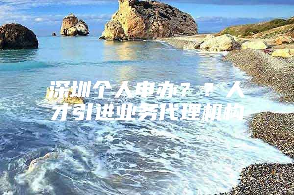深圳个人申办？？人才引进业务代理机构