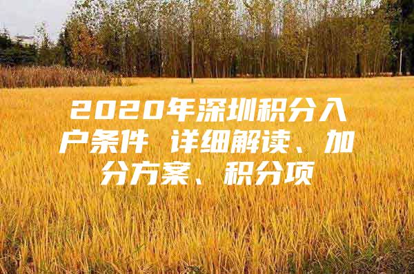 2020年深圳积分入户条件 详细解读、加分方案、积分项