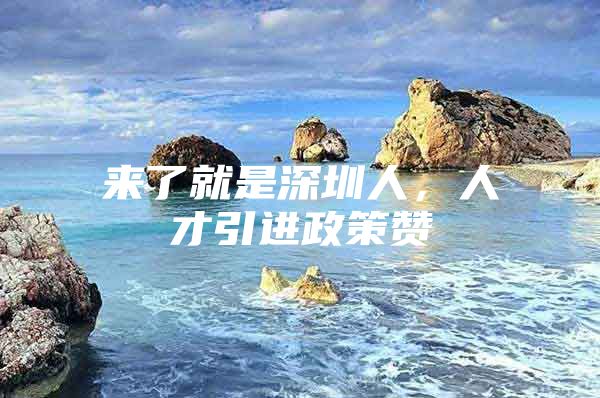 来了就是深圳人，人才引进政策赞