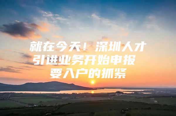 就在今天！深圳人才引进业务开始申报 要入户的抓紧