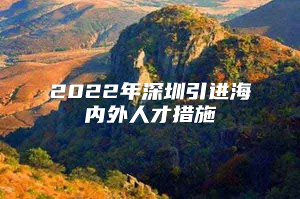 2022年深圳引进海内外人才措施