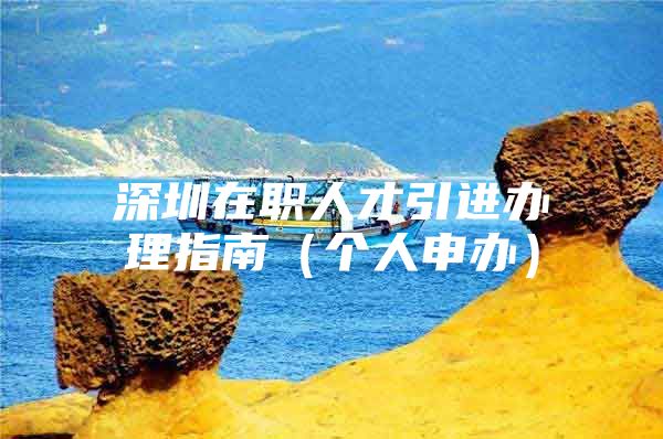 深圳在职人才引进办理指南（个人申办）