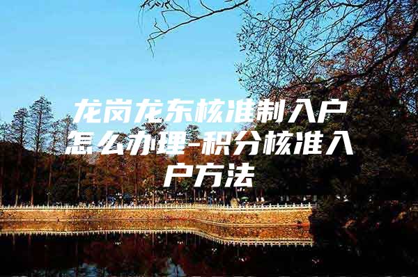 龙岗龙东核准制入户怎么办理-积分核准入户方法