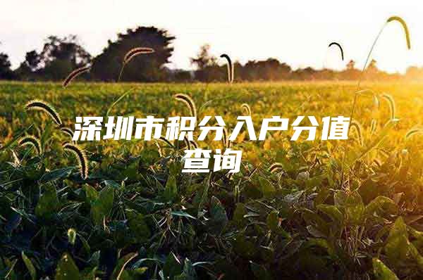 深圳市积分入户分值查询
