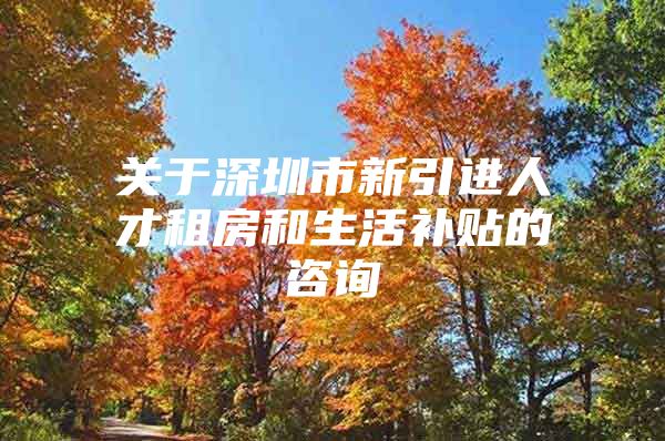 关于深圳市新引进人才租房和生活补贴的咨询