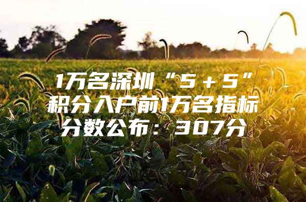 1万名深圳“5＋5”积分入户前1万名指标分数公布：307分