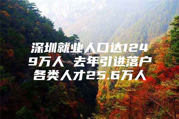 深圳就业人口达1249万人 去年引进落户各类人才25.6万人