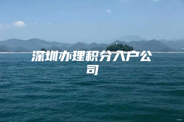 深圳办理积分入户公司