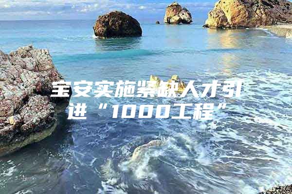 宝安实施紧缺人才引进“1000工程”