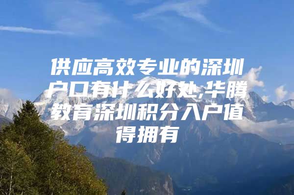 供应高效专业的深圳户口有什么好处,华腾教育深圳积分入户值得拥有