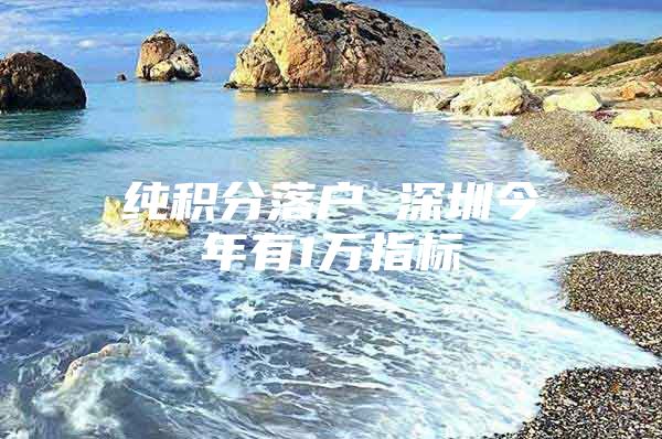 纯积分落户 深圳今年有1万指标