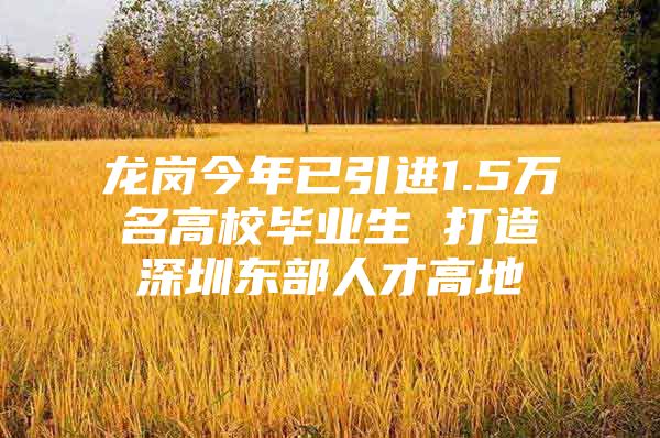 龙岗今年已引进1.5万名高校毕业生 打造深圳东部人才高地