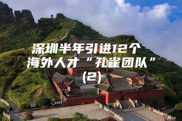 深圳半年引进12个 海外人才“孔雀团队”(2)