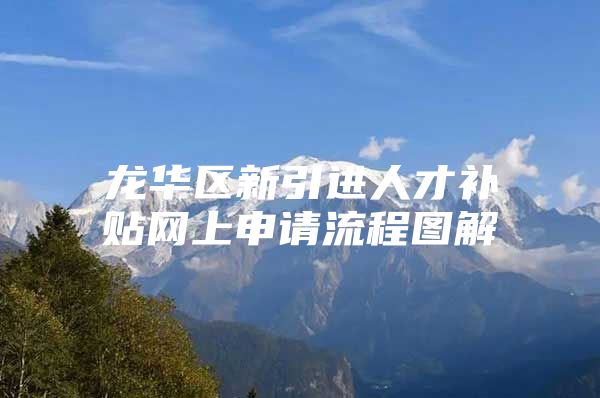 龙华区新引进人才补贴网上申请流程图解