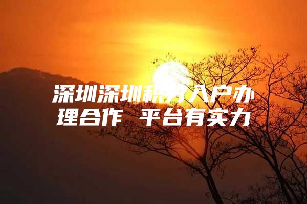 深圳深圳积分入户办理合作 平台有实力