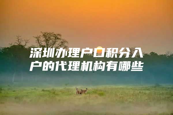 深圳办理户口积分入户的代理机构有哪些