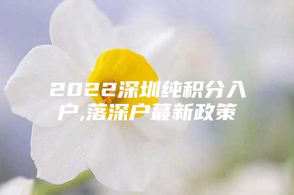 2022深圳纯积分入户,落深户蕞新政策