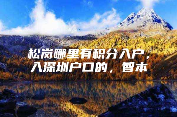 松岗哪里有积分入户，入深圳户口的，智本