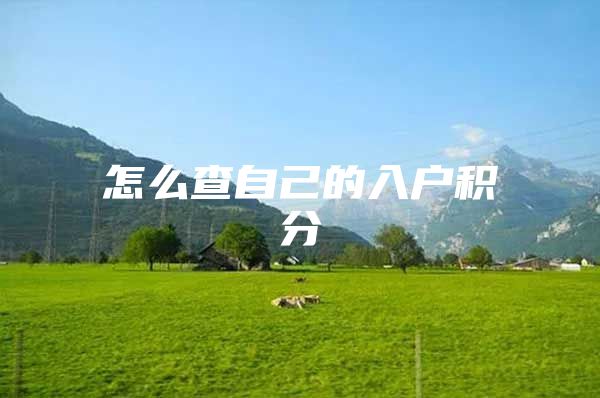 怎么查自己的入户积分