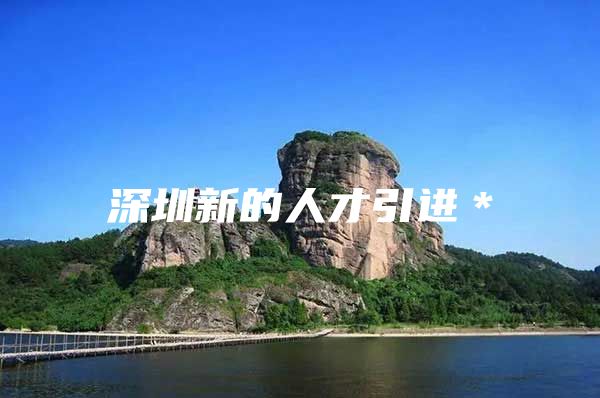 深圳新的人才引进＊