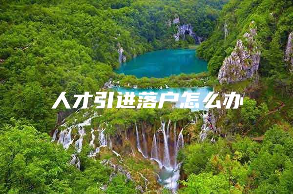 人才引进落户怎么办