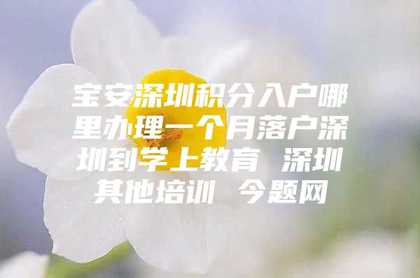 宝安深圳积分入户哪里办理一个月落户深圳到学上教育 深圳其他培训 今题网