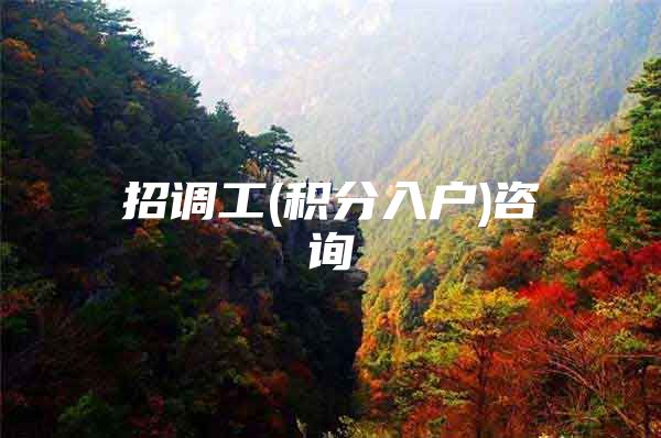 招调工(积分入户)咨询