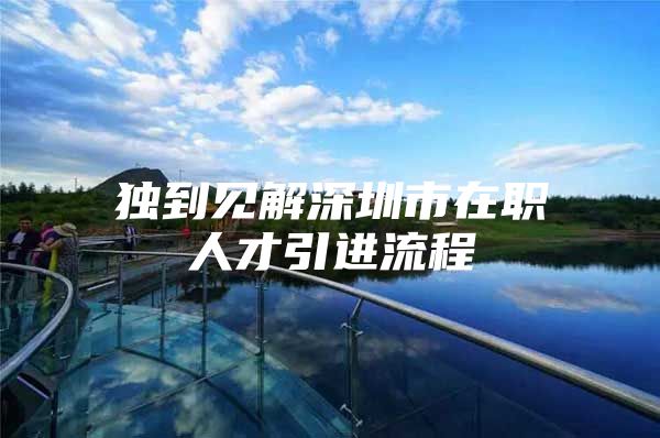 独到见解深圳市在职人才引进流程