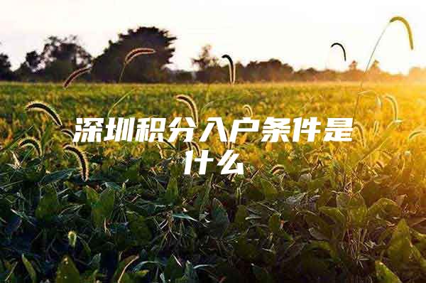 深圳积分入户条件是什么