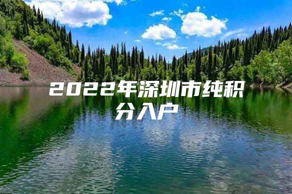 2022年深圳市纯积分入户