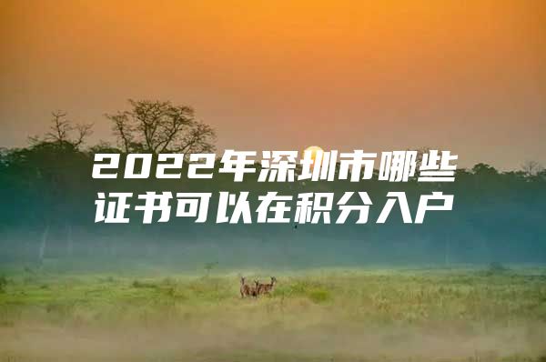 2022年深圳市哪些证书可以在积分入户