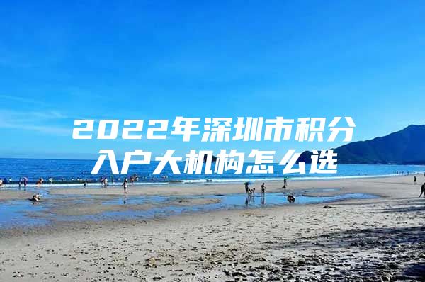 2022年深圳市积分入户大机构怎么选