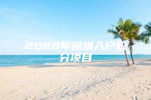2020年深圳入户积分项目