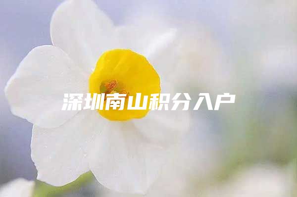 深圳南山积分入户
