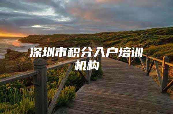 深圳市积分入户培训机构