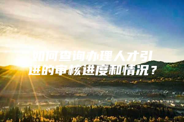如何查询办理人才引进的审核进度和情况？