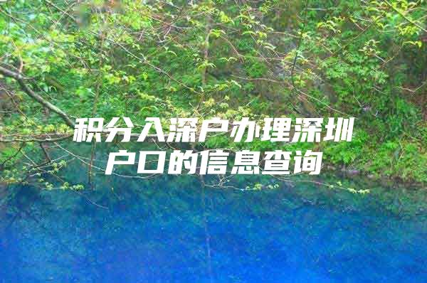 积分入深户办理深圳户口的信息查询