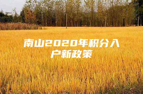 南山2020年积分入户新政策