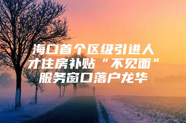 海口首个区级引进人才住房补贴“不见面”服务窗口落户龙华
