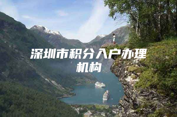 深圳市积分入户办理机构